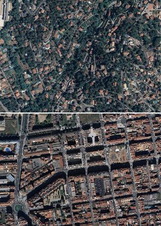 orto_vertical_petita