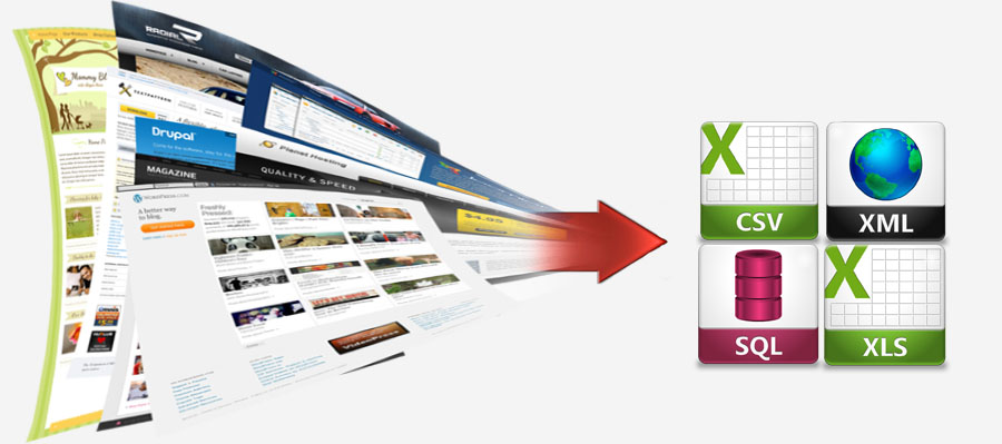  www.netscavator.com